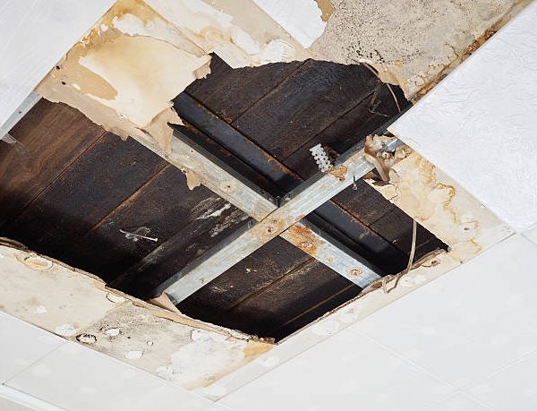 Step by Step Process of Reliable Commercial Mold Removal in El Paso, TX