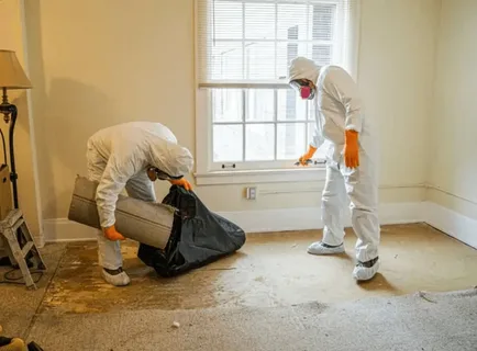 Contents Restoration in El Paso