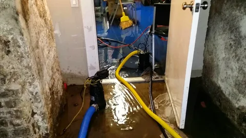 Water Damage Restoration
